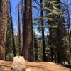 Dorst Creek Campground gift card