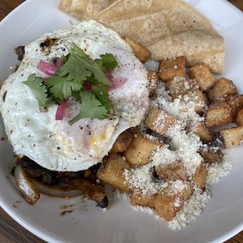 Linear Restaurant - Latin Hash - New American Near Me - Grand Rapids, Michigan