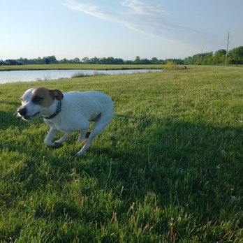 Ingram Park - Dog Parks Near Me - Pleasant Prairie, Wisconsin