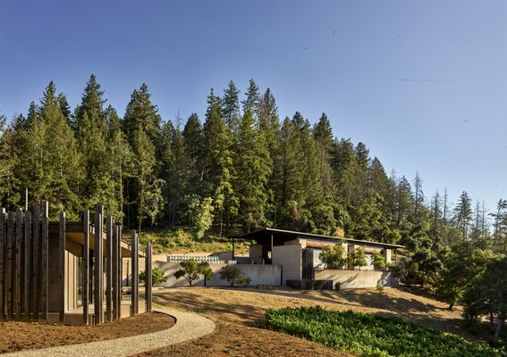 CADE Estate Winery by null