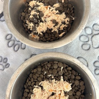 Petco - Nulo - Pet Training Near Me - Los Angeles, California