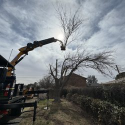 West Texas Tree Removal - Grapplesaw in action