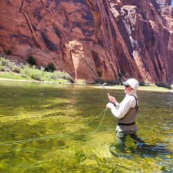 Lees Ferry On the Fly - Fly fishing Lees Ferry