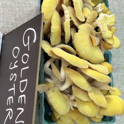 North Asheville Tailgate Market