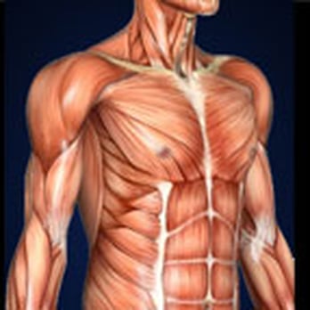 Accelerated Performance Clinic - Chiropractors Near Me - Edina, Minnesota