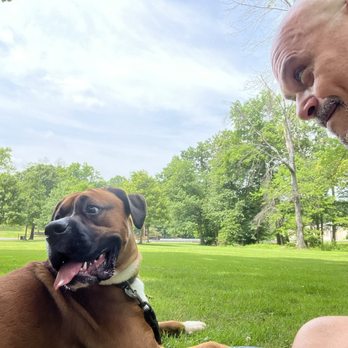 Roosevelt County Park - Great for dogs! - Parks Near Me - Edison, New Jersey