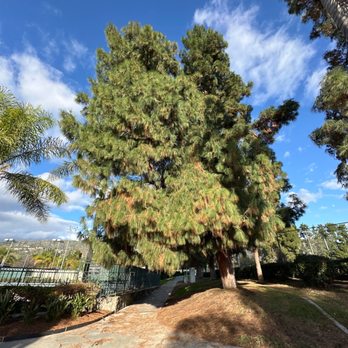 McCambridge Park - Secret pathway to Grandmas house lol memories :) - Parks Near Me - Burbank, California McCambridge Park - Secret pathway to Grandmas house lol memories :) - Parks Near Me - Burbank, California
