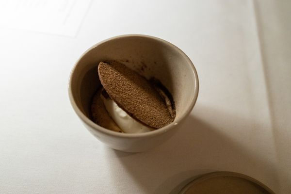 Hallmann und Klee by null