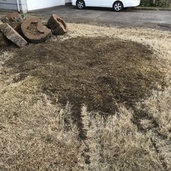Corvallis Rental Inc - Went through a 42" stump in less than 25 minutes with the stump grinder they supply.