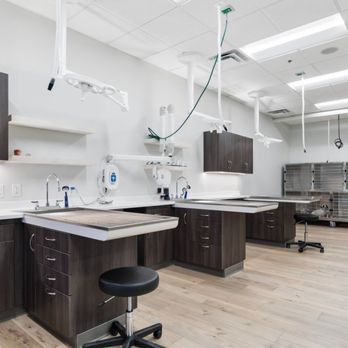 Phoenix Mobile Veterinarians - Veterinarians Near Me - Scottsdale, Arizona Phoenix Mobile Veterinarians - Veterinarians Near Me - Scottsdale, Arizona