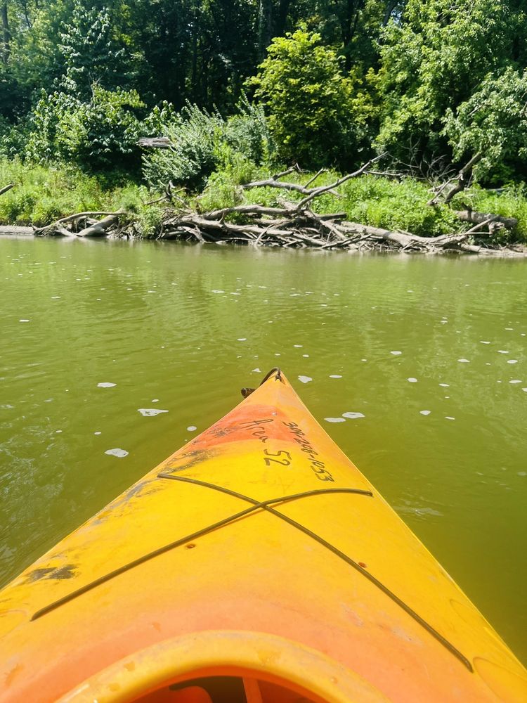 AREA 52 PAINTBALL & FAMILY FUN CENTER Updated August 2024 702 Smith