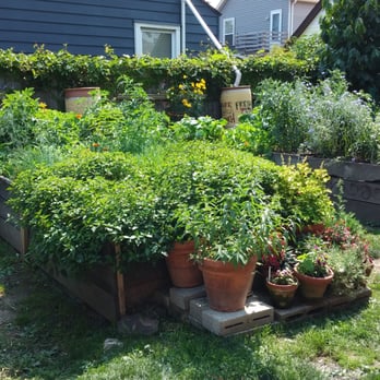 Lucky's Cafe - Lucky's garden - Coffee & Tea Near Me - Cleveland, Ohio