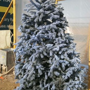 Valley View Christmas Trees - Christmas Trees Near Me - Queen Creek, Arizona Valley View Christmas Trees - Christmas Trees Near Me - Queen Creek, Arizona