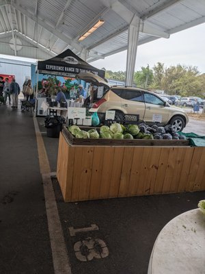 Alachua County Farmers' Market by null