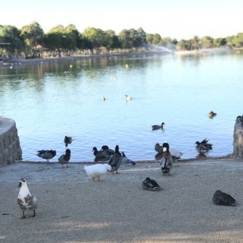 Sunset Park - Dog Parks Near Me - Las Vegas, Nevada Sunset Park - Dog Parks Near Me - Las Vegas, Nevada