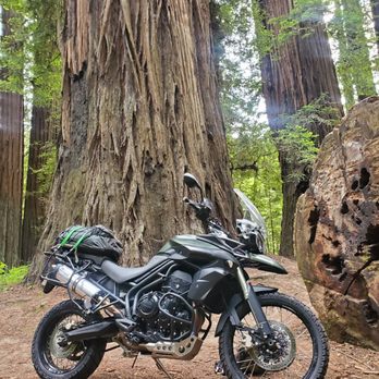 Euro Cycle Sonoma - Motorcycle Dealers Near Me - Windsor, California