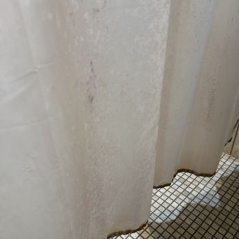 Sylvan Heights Condominiums - Shower curtains are molded and filthy - Condominiums Near Me - Portland, Oregon Sylvan Heights Condominiums - Shower curtains are molded and filthy - Condominiums Near Me - Portland, Oregon