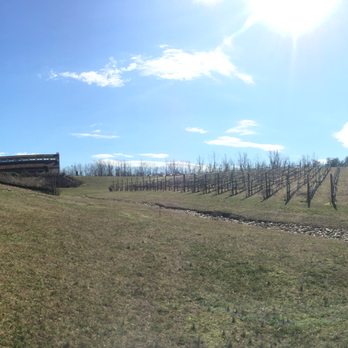 Potomac Point Winery - Wineries Near Me - Stafford, Virginia