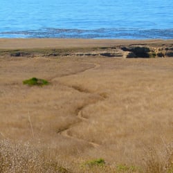 Mendocino Area Parks Association