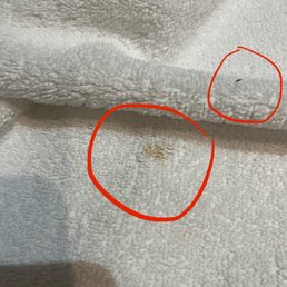 Stains on the towel when we first got there. Plus a long blonde hair fell to the ground when unfolded.