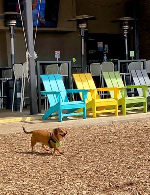 Barkside Detroit by null