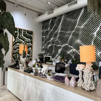 Plant The Future - Coffee shop - Art Galleries Near Me - Miami, Florida Plant The Future - Coffee shop - Art Galleries Near Me - Miami, Florida