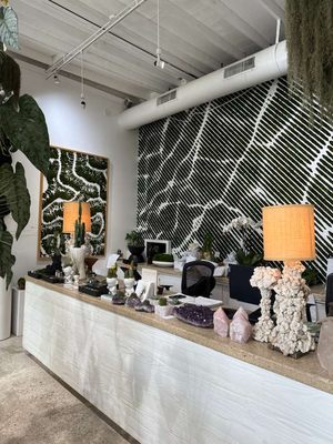 Plant the Future by null