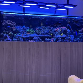 InStyle Nails & Spa - Gorgeous aquarium to relax & watch the fish swim. - Nail Salons Near Me - Davenport, Florida