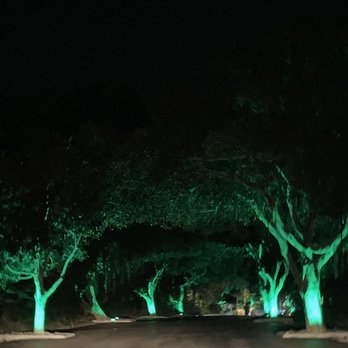 Paradise Point - The entrance at night was my favorite as it felt like we were entering an enchanted forest. - Resorts Near Me - San Diego, California