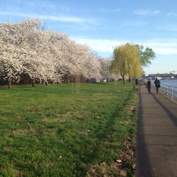 Hains Point - Parks Near Me - Washington, DC, District of Columbia