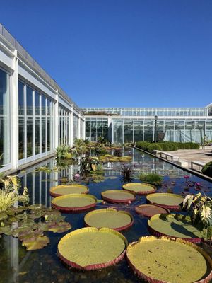 Como Park Zoo & Conservatory by null