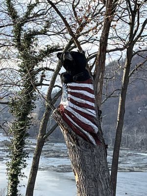 Harpers Ferry Brewing by null