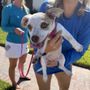 Photo of Humane Society of Manatee County