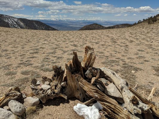 Boundary Peak by null