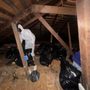 Photo of American Service Pest Control