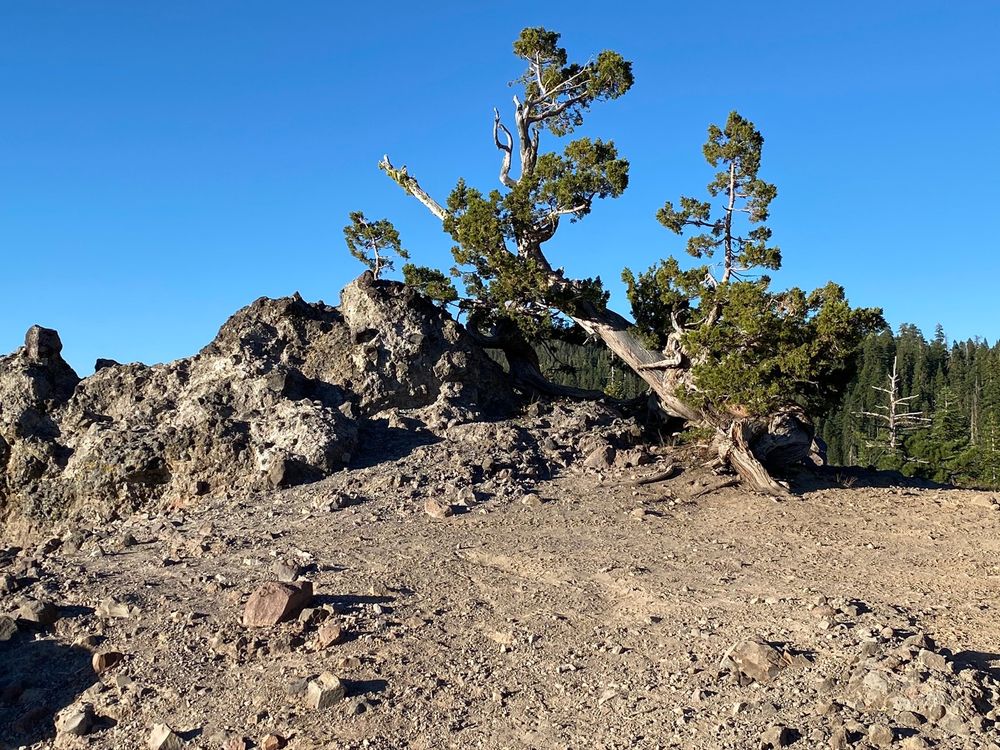 FRENCH MEADOWS CAMPGROUND Updated August 2024 143 Photos & 24