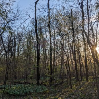 Hickory Woods Conservation Area - Sunset in the forest - Parks Near Me - Bridgeton, Missouri Hickory Woods Conservation Area - Sunset in the forest - Parks Near Me - Bridgeton, Missouri