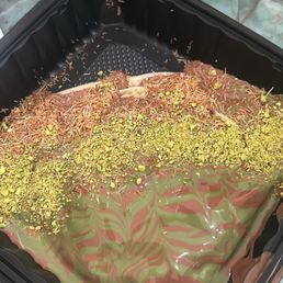 Dubai chocolate crepe  + strawberries