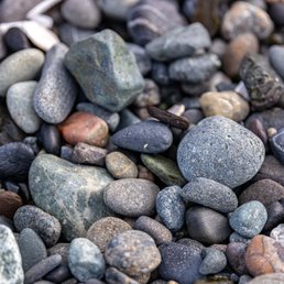 Dungeness Spit Trail