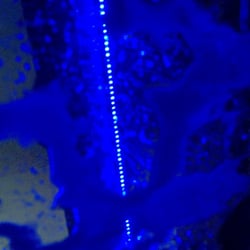 Alhambra Shell - Cool light-show-rave foam wax curtain! (view from sunroof)