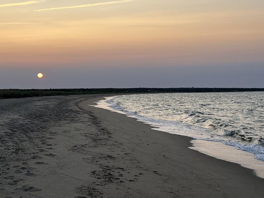 Joseph Sylvia State Beach by null