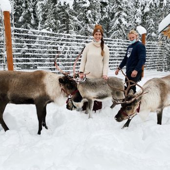 Chena Outdoor Collective - Feeding the reindeer :) - Walking Tours Near Me - Fairbanks, Alaska