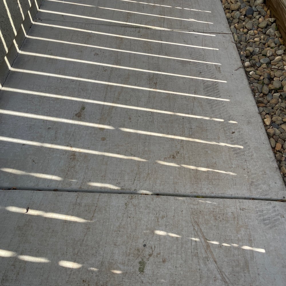R&D Tree Service - Tree Services Near Me R&D Tree Service - Tree Services Near Me