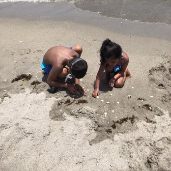 Carlin Park - So many shells! We are going to glue the shells on some picture frames and plates and maybe a mirror! - Parks Near Me - Jupiter, Florida