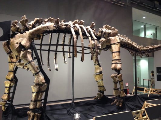 Nagoya City Science Museum by null