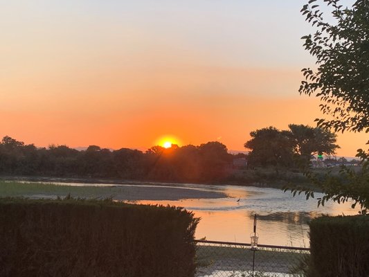 Skyfall Guestrooms by null