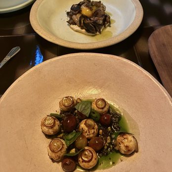 Albi - Mushroom hummus and yogurt balls with grapes and candied pistachios - Middle Eastern Near Me - Washington, DC, District of Columbia Albi - Mushroom hummus and yogurt balls with grapes and candied pistachios - Middle Eastern Near Me - Washington, DC, District of Columbia