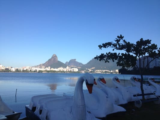 Rodrigo de Freitas Lagoon by null