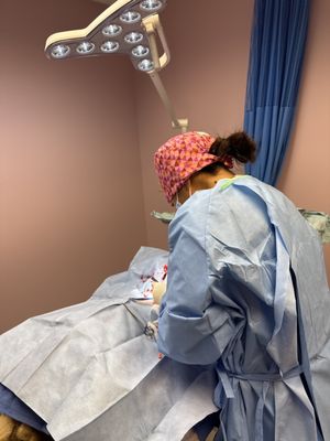 Animal Surgical Care