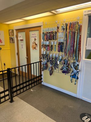 Noni's Pet Boutique & Grooming by null